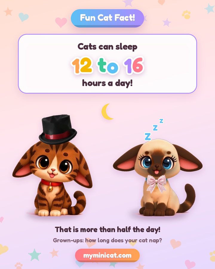 有趣的猫咪知识：猫咪每天可以睡 12 到 16 个小时，图中是卡通猫咪福兹和可乐